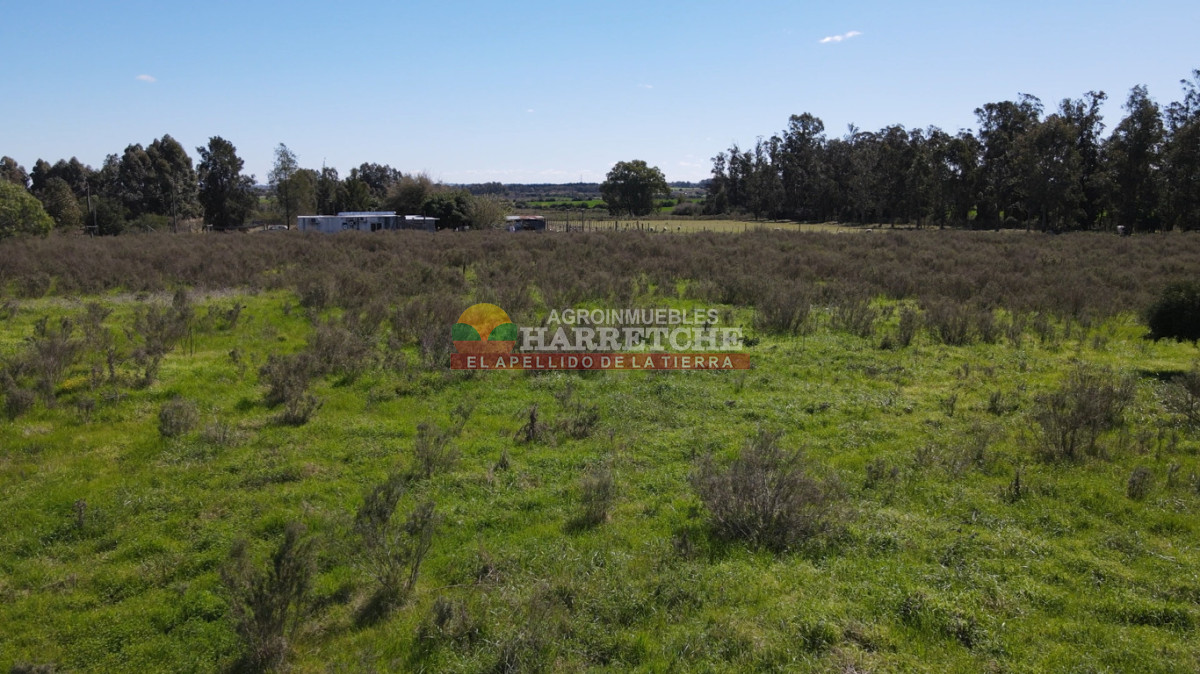 Chacra ID.538 - Chacra de 2 has en Los Cerrillos, zona alta, hermoso lugar!