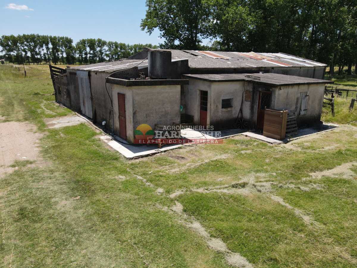 Chacra ID.431 - Chacra en Los Cerrillos, 5.7 has, Casa, barbacoa, galpones. 