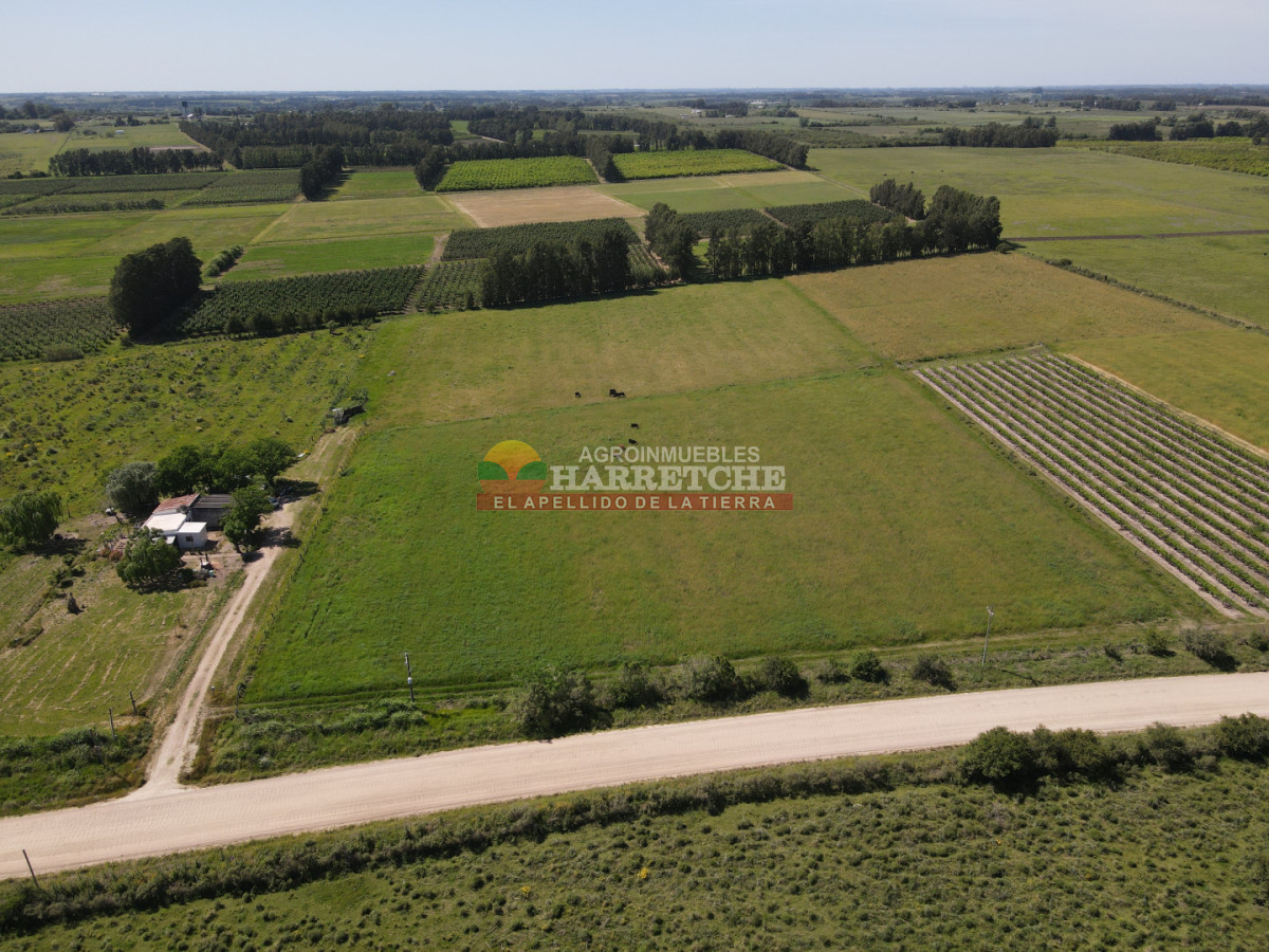 Chacra ID.492 - Chacra de 3 has en Los Cerrillos, hermoso entorno!