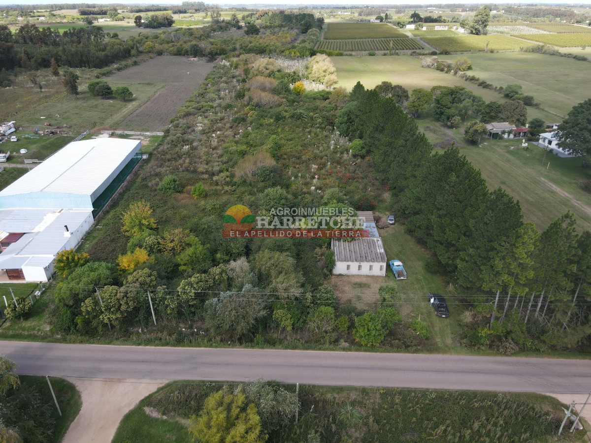 Chacra ID.374 - Chacra en Cuatro Piedras, 2 has con casa, galpón, muy buen lugar.