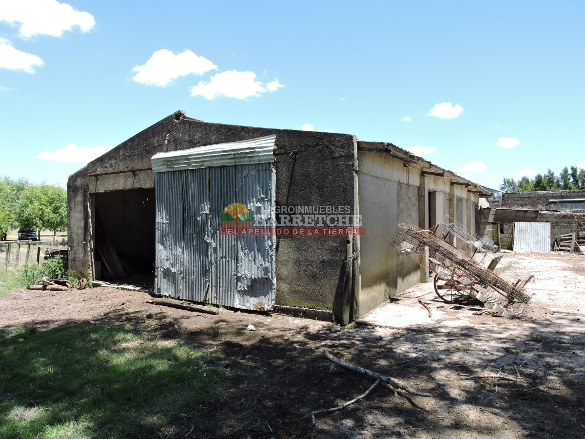 Chacra ID.431 - Chacra en Los Cerrillos, 5.7 has, Casa, barbacoa, galpones. 