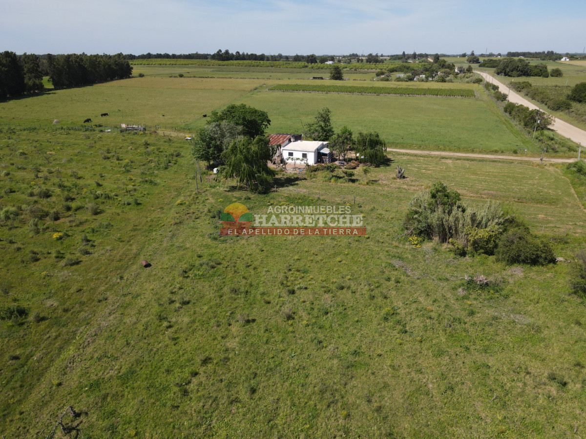 Chacra ID.493 - Chacra en Los Cerrillos, 4 has con casa, galpón, arroyo!