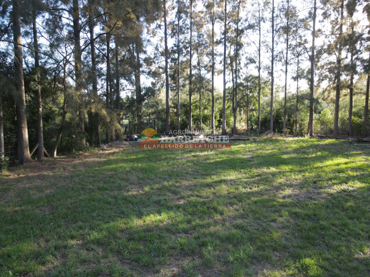 Chacra ID.513 - Casa en venta en Las Brujas, 1200 m2 de terreno, 2 dormitorios!