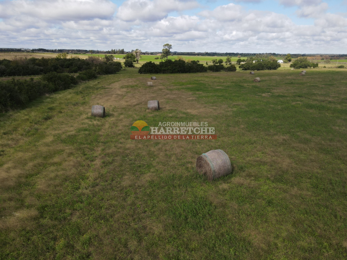 Chacra ID.384 - Chacra de 5 has en Los Cerrillos, cañada, alambrados, muy lindo entorno!