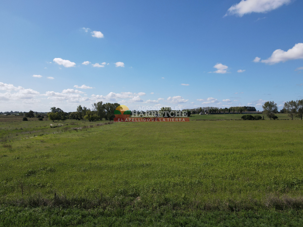 Chacra ID.444 - Chacra en Los Cerrillos, 5.4 has con cañada, predio alto y limpio, dueño financia!