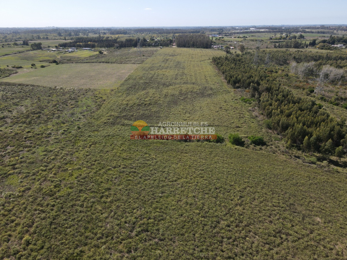 Chacra ID.306 - 12.8 has en Paso del Andaluz, a metros de ruta perimetral. 