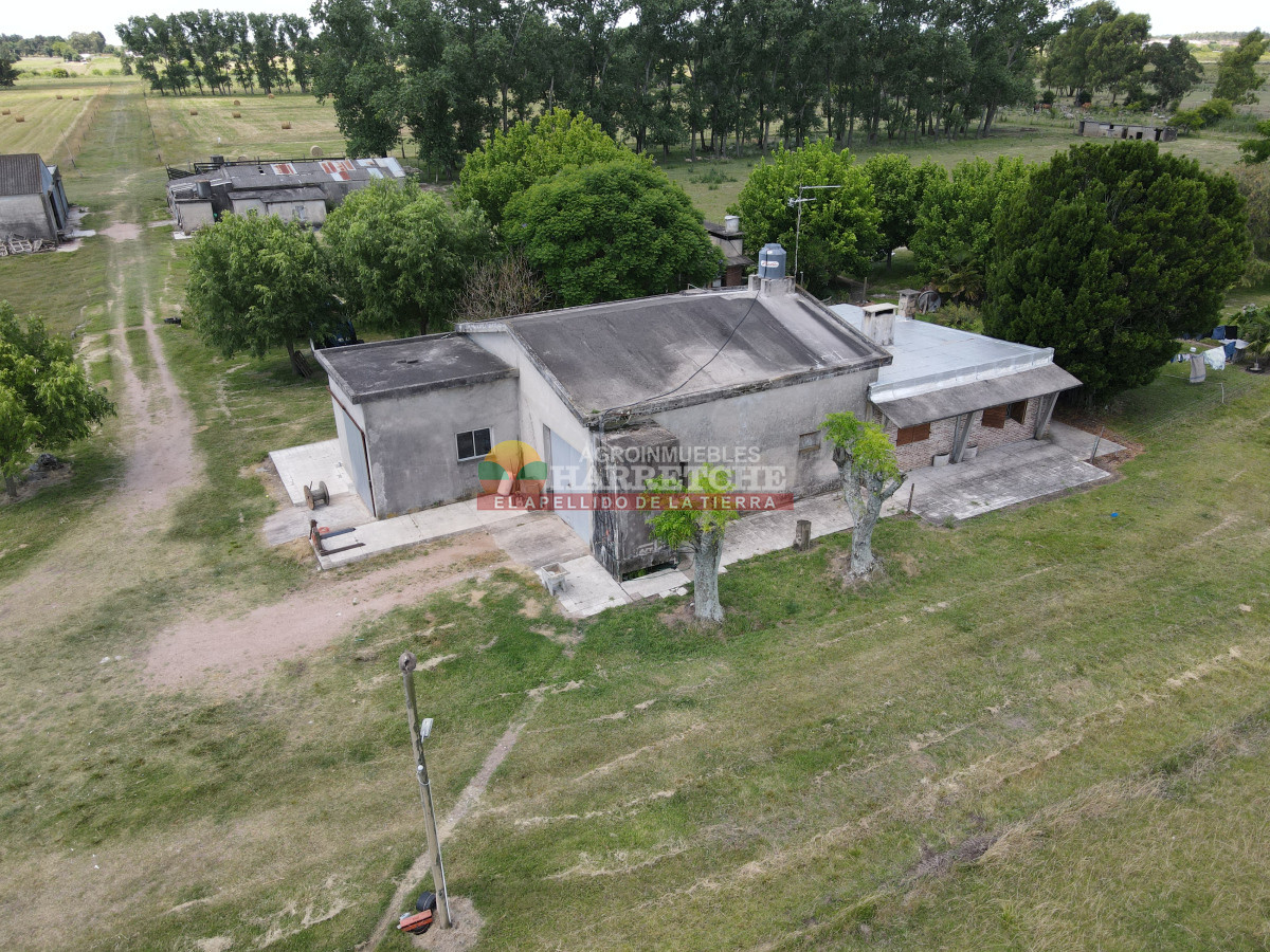 Chacra ID.431 - Chacra en Los Cerrillos, 5.7 has, Casa, barbacoa, galpones. 