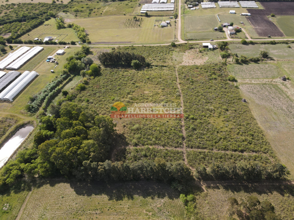 Chacra ID.508 -  Chacra en Los Cerrillos, 4 has, monoambiente, cañada, tajamar! 