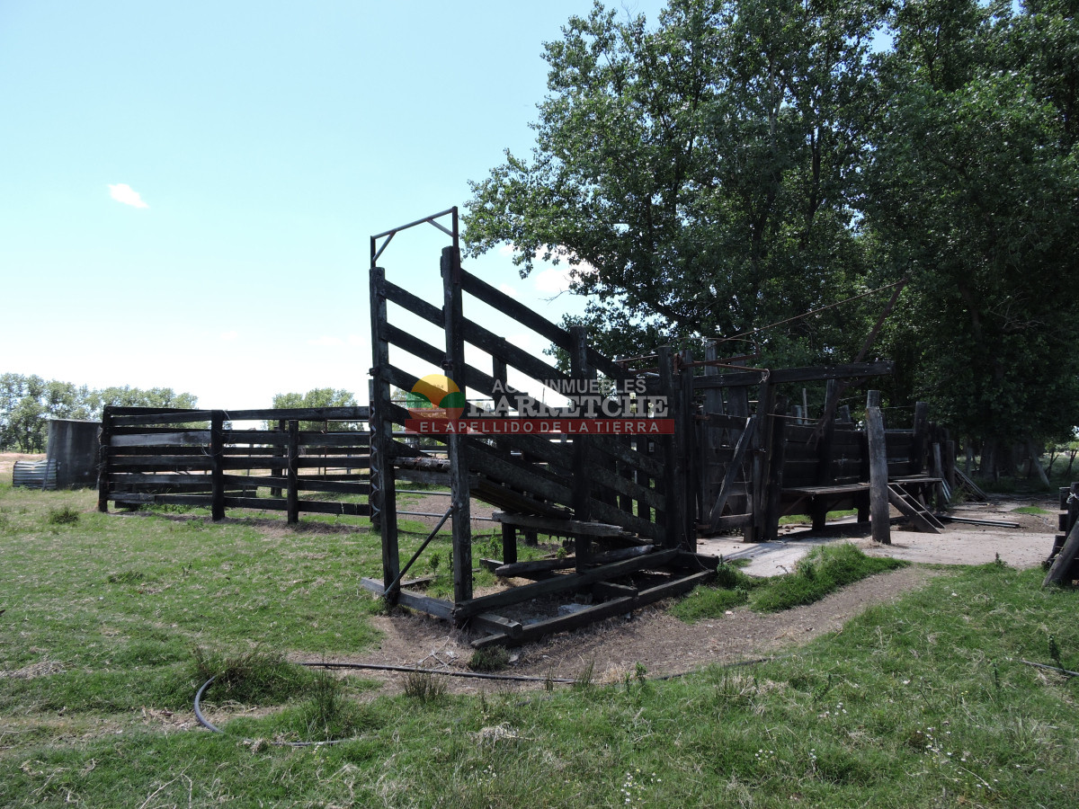 Chacra ID.431 - Chacra en Los Cerrillos, 5.7 has, Casa, barbacoa, galpones. 