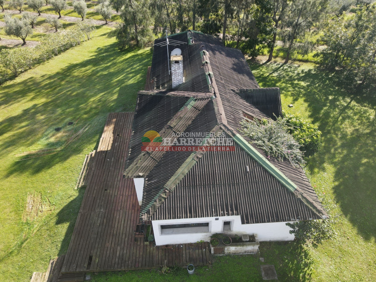 Chacra ID.474 - Campo de Olivos en venta, con fábrica de aceite y casa de ensueño