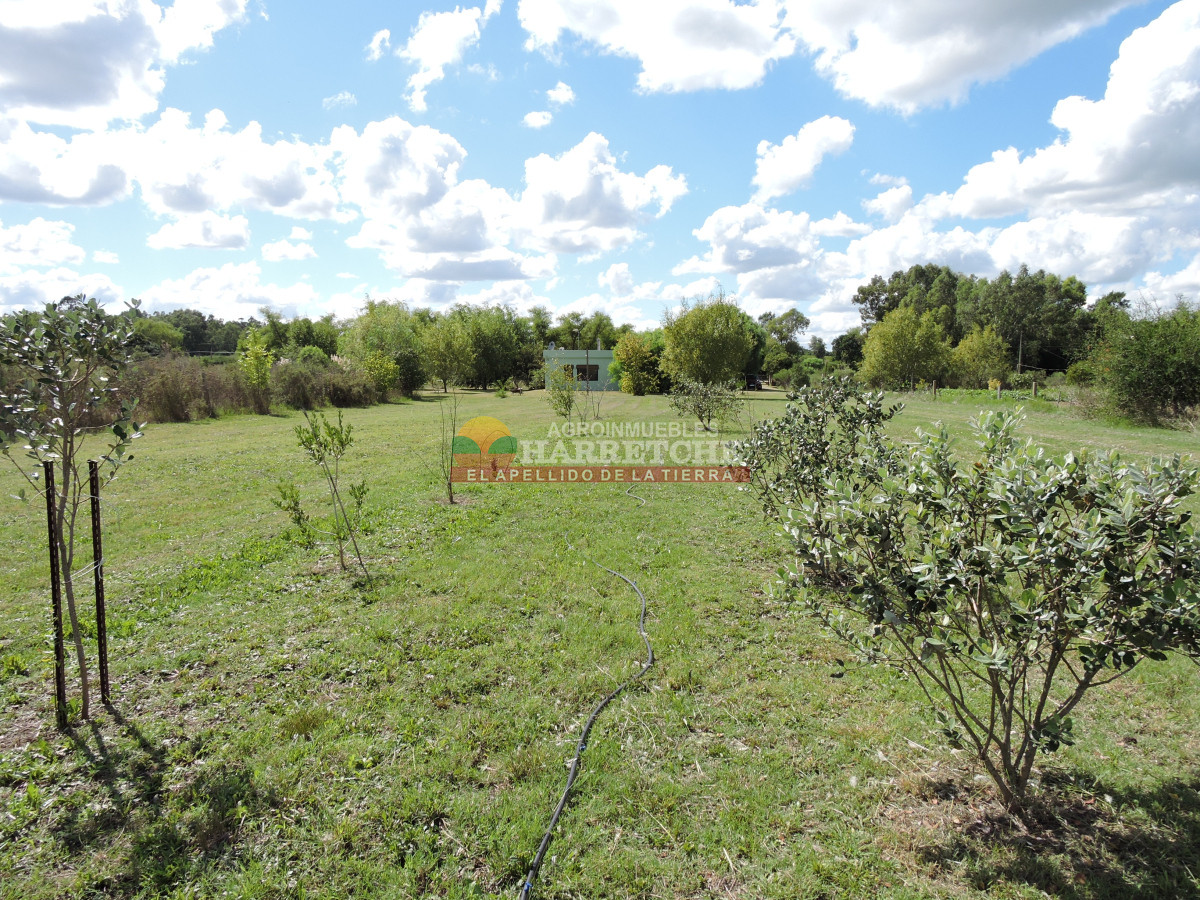 Chacra ID.438 - Chacra en Las Violetas, 2 has con casa, barbacoa, piscina