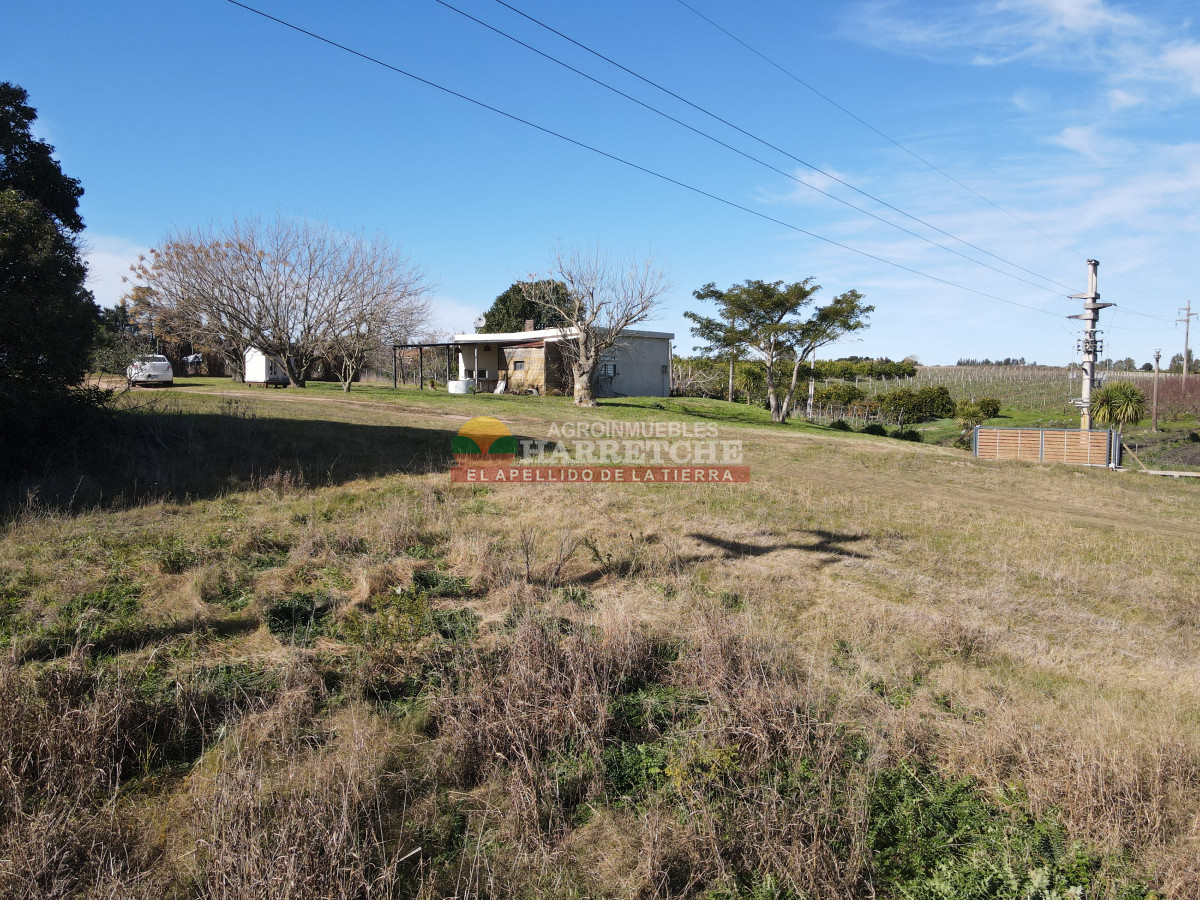 Chacra ID.472 - Chacra en Los Cerrillos, 2 dormitorios, hermoso lugar, zona alta. 