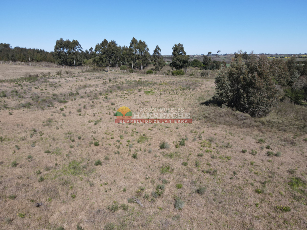 Chacra ID.538 - Chacra de 2 has en Los Cerrillos, zona alta, hermoso lugar!