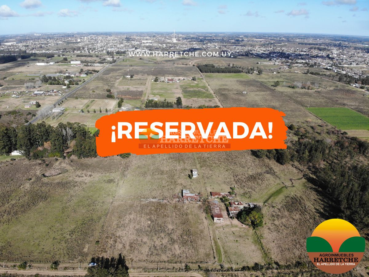 Chacra ID.415 - Chacra de 14 has a pasitos de ruta 67 y Las Piedras