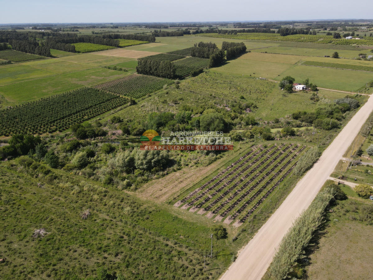 Chacra ID.493 - Chacra en Los Cerrillos, 4 has con casa, galpón, arroyo!