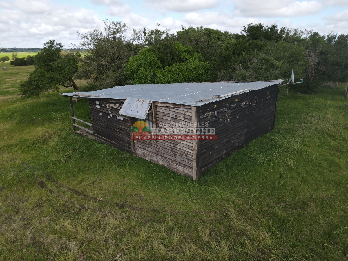 Chacra ID.384 - Chacra de 5 has en Los Cerrillos, cañada, alambrados, muy lindo entorno!