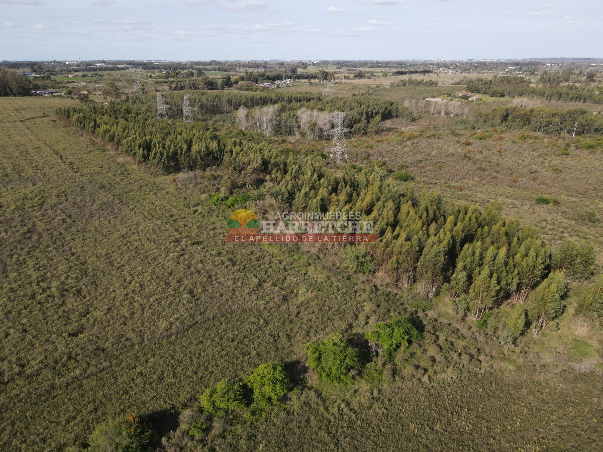 Chacra ID.306 - 12.8 has en Paso del Andaluz, a metros de ruta perimetral. 