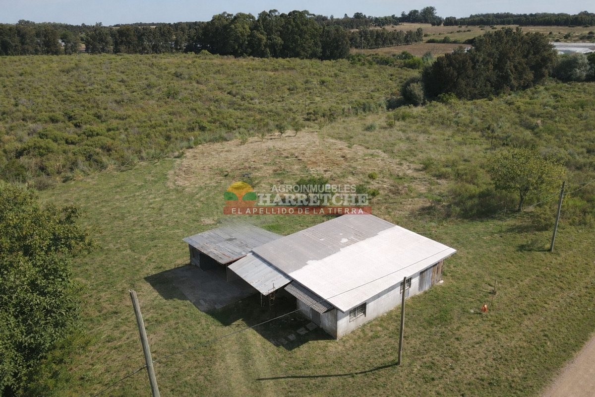 Chacra ID.508 -  Chacra en Los Cerrillos, 4 has, monoambiente, cañada, tajamar! 