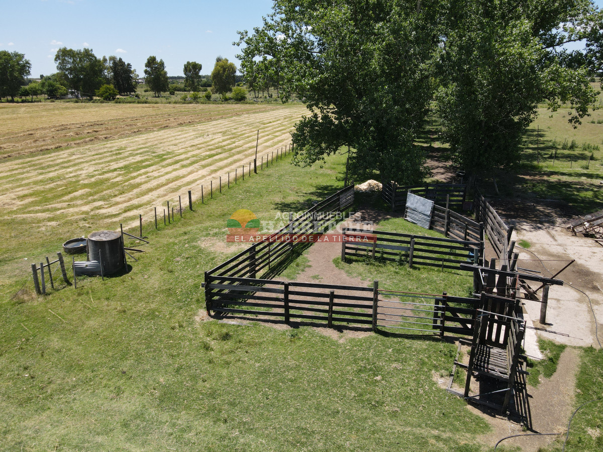 Chacra ID.431 - Chacra en Los Cerrillos, 5.7 has, Casa, barbacoa, galpones. 