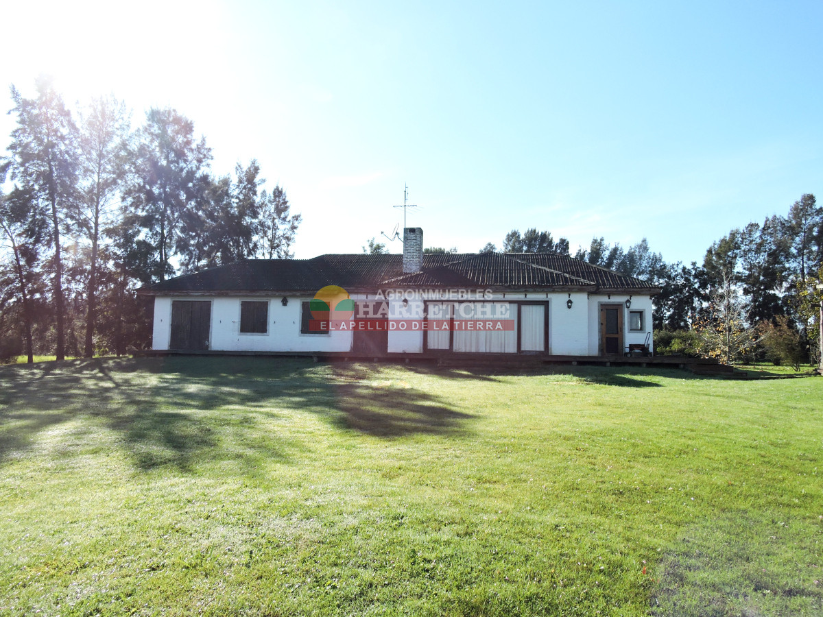 Chacra ID.474 - Campo de Olivos en venta, con fábrica de aceite y casa de ensueño