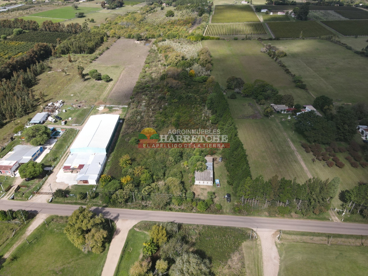 Chacra ID.374 - Chacra en Cuatro Piedras, 2 has con casa, galpón, muy buen lugar.