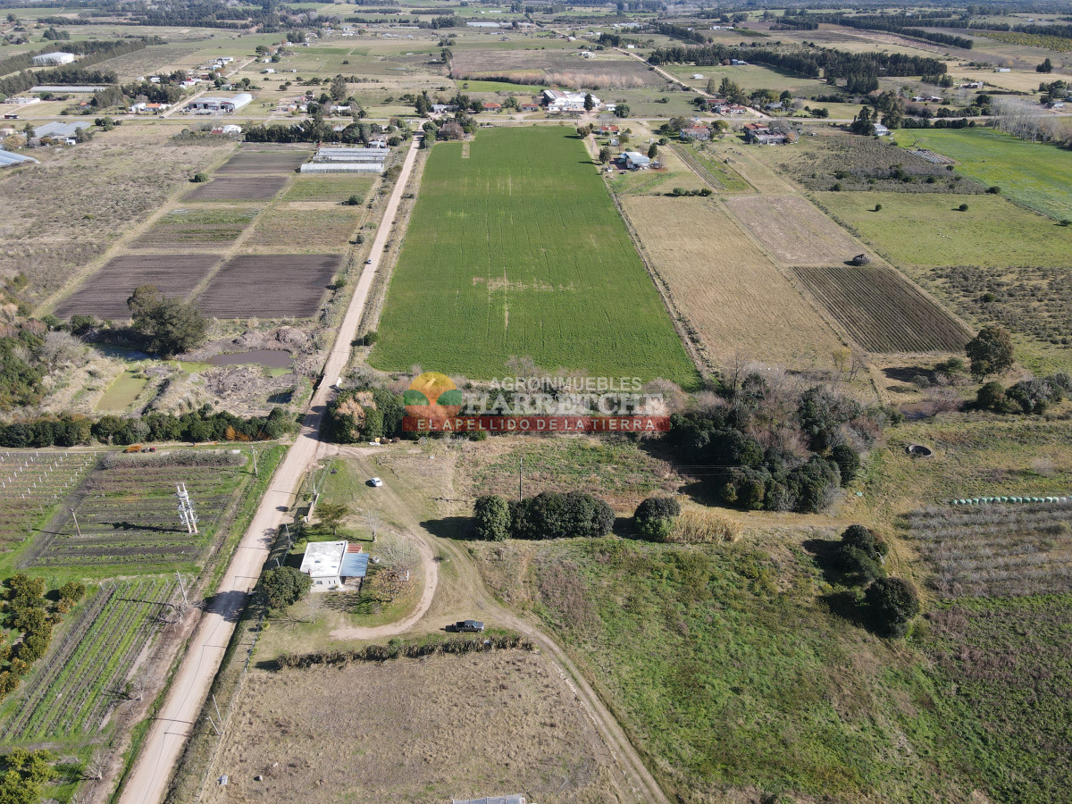 Chacra ID.472 - Chacra en Los Cerrillos, 2 dormitorios, hermoso lugar, zona alta. 