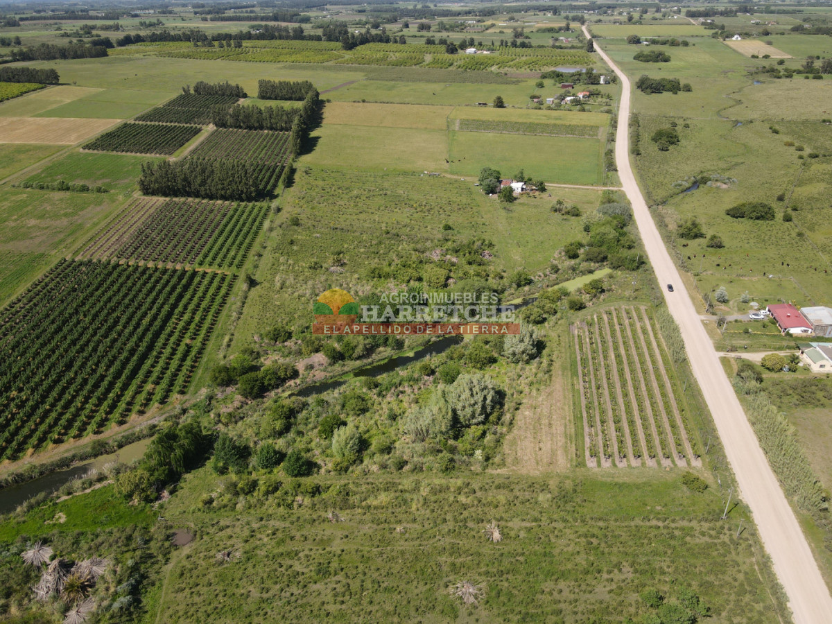 Chacra ID.493 - Chacra en Los Cerrillos, 4 has con casa, galpón, arroyo!