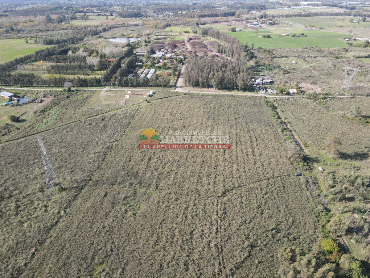 Chacra ID.306 - 12.8 has en Paso del Andaluz, a metros de ruta perimetral. 