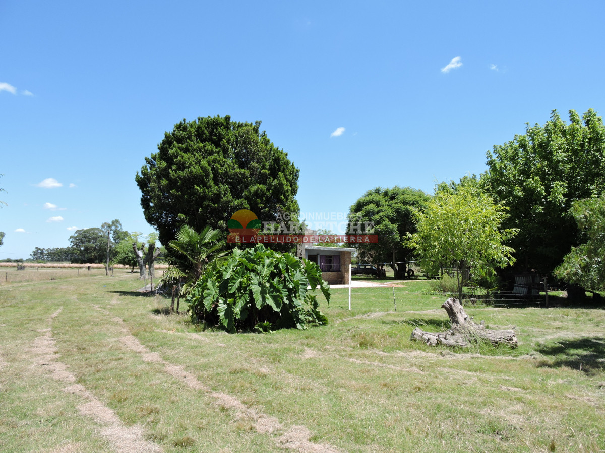 Chacra ID.431 - Chacra en Los Cerrillos, 5.7 has, Casa, barbacoa, galpones. 