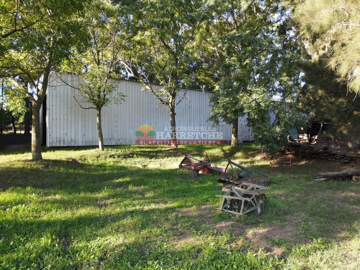 Chacra ID.446 - Chacra en Melilla, 3 has, hermoso casco, caballerizas, galpones, piscina