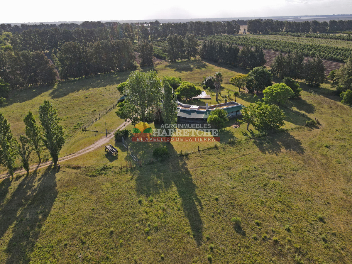 Chacra ID.448 - Chacra en Melilla, 10 has, casco de 3 dormitorios, 2 baños, piscina, galpón.