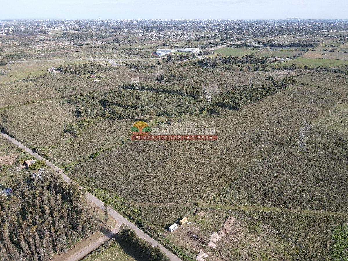Chacra ID.306 - 12.8 has en Paso del Andaluz, a metros de ruta perimetral. 