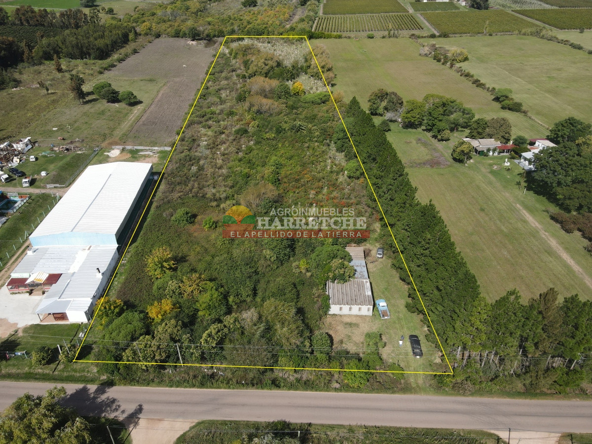 Chacra ID.374 - Chacra en Cuatro Piedras, 2 has con casa, galpón, muy buen lugar.