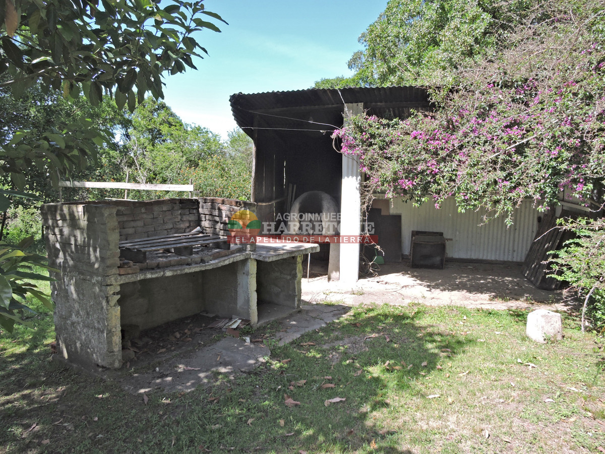 Chacra ID.419 - Chacra en venta Chalet con 6 dorm, 3 baños, parque, apta banco.