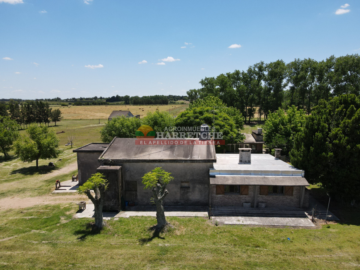 Chacra ID.431 - Chacra en Los Cerrillos, 5.7 has, Casa, barbacoa, galpones. 