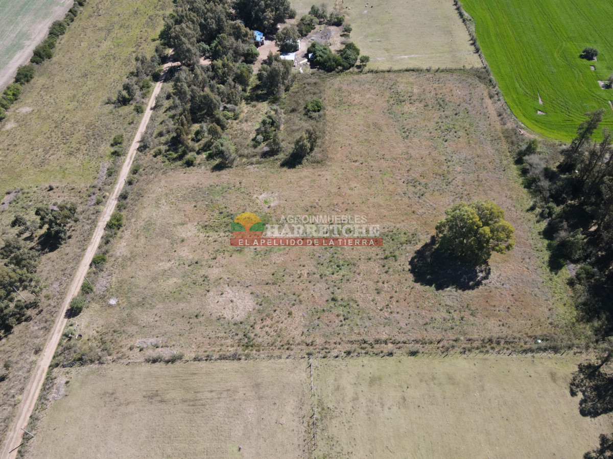 Chacra ID.538 - Chacra de 2 has en Los Cerrillos, zona alta, hermoso lugar!