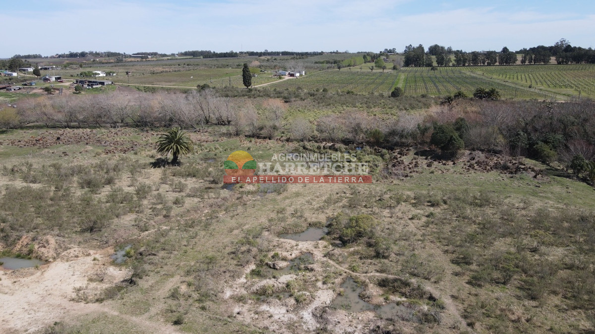 Chacra ID.333 - Chacra en Montevideo rural, 7 has muy bien ubicadas