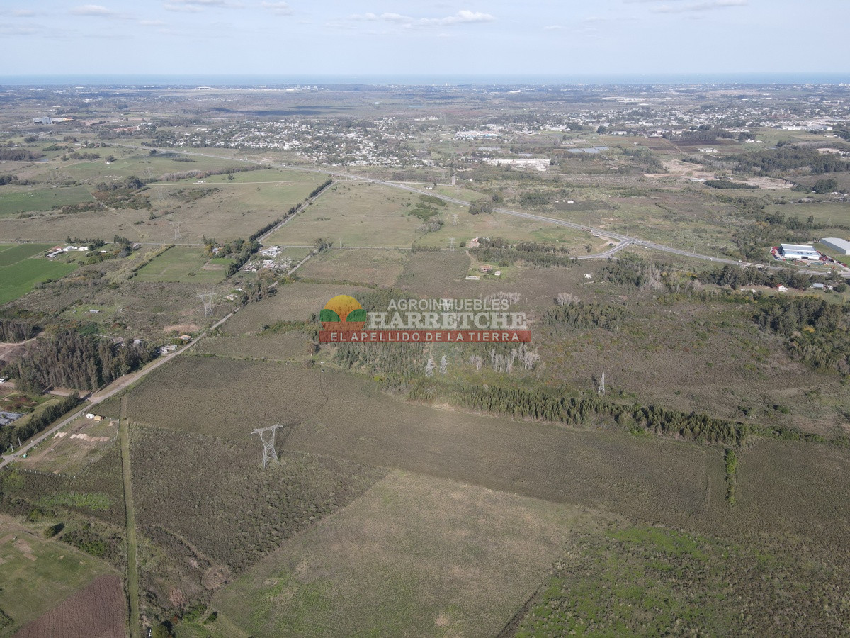Chacra ID.306 - 12.8 has en Paso del Andaluz, a metros de ruta perimetral. 