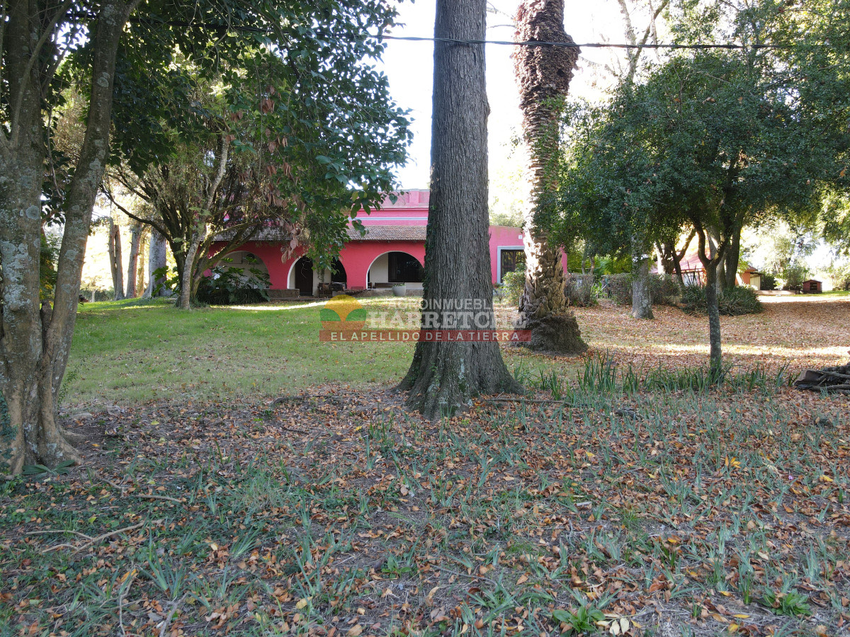 Chacra ID.452 - Chacra en venta en Cerrillos con casco antiguo ideal para emprendimiento. 