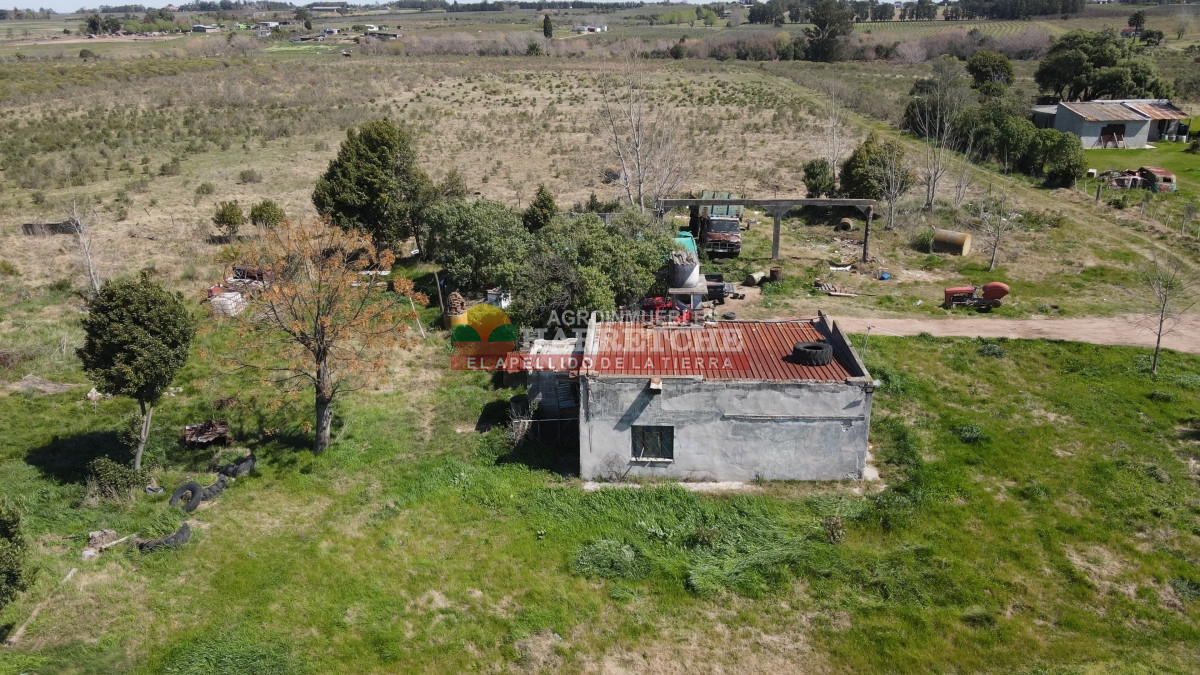 Chacra ID.333 - Chacra en Montevideo rural, 7 has muy bien ubicadas