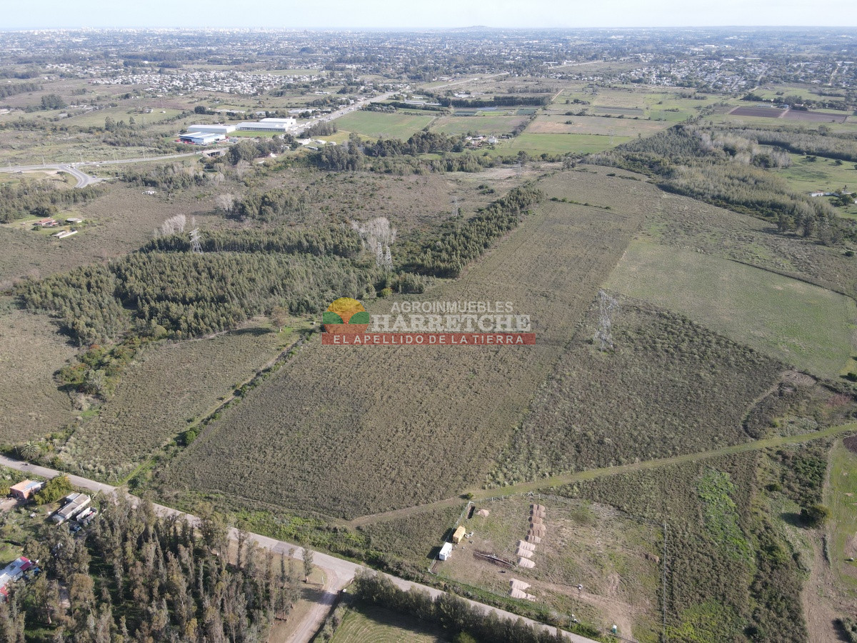 Chacra ID.306 - 12.8 has en Paso del Andaluz, a metros de ruta perimetral. 