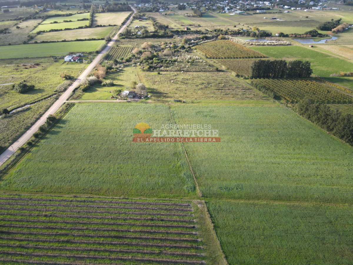 Chacra ID.492 - Chacra de 3 has en Los Cerrillos, hermoso entorno!