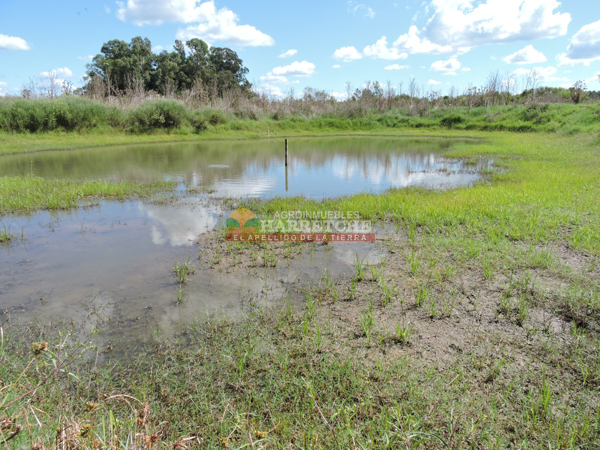 Chacra ID.438 - Chacra en Las Violetas, 2 has con casa, barbacoa, piscina