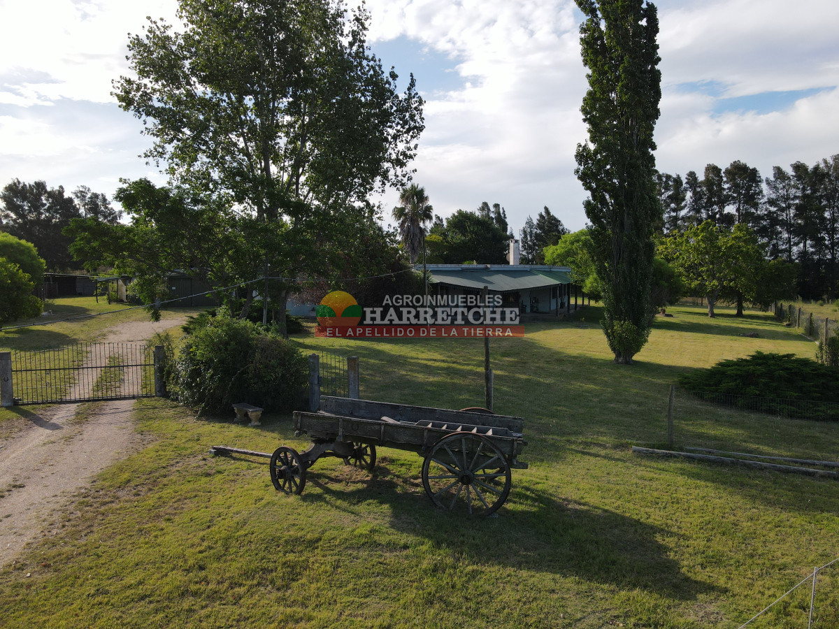 Chacra ID.448 - Chacra en Melilla, 10 has, casco de 3 dormitorios, 2 baños, piscina, galpón.