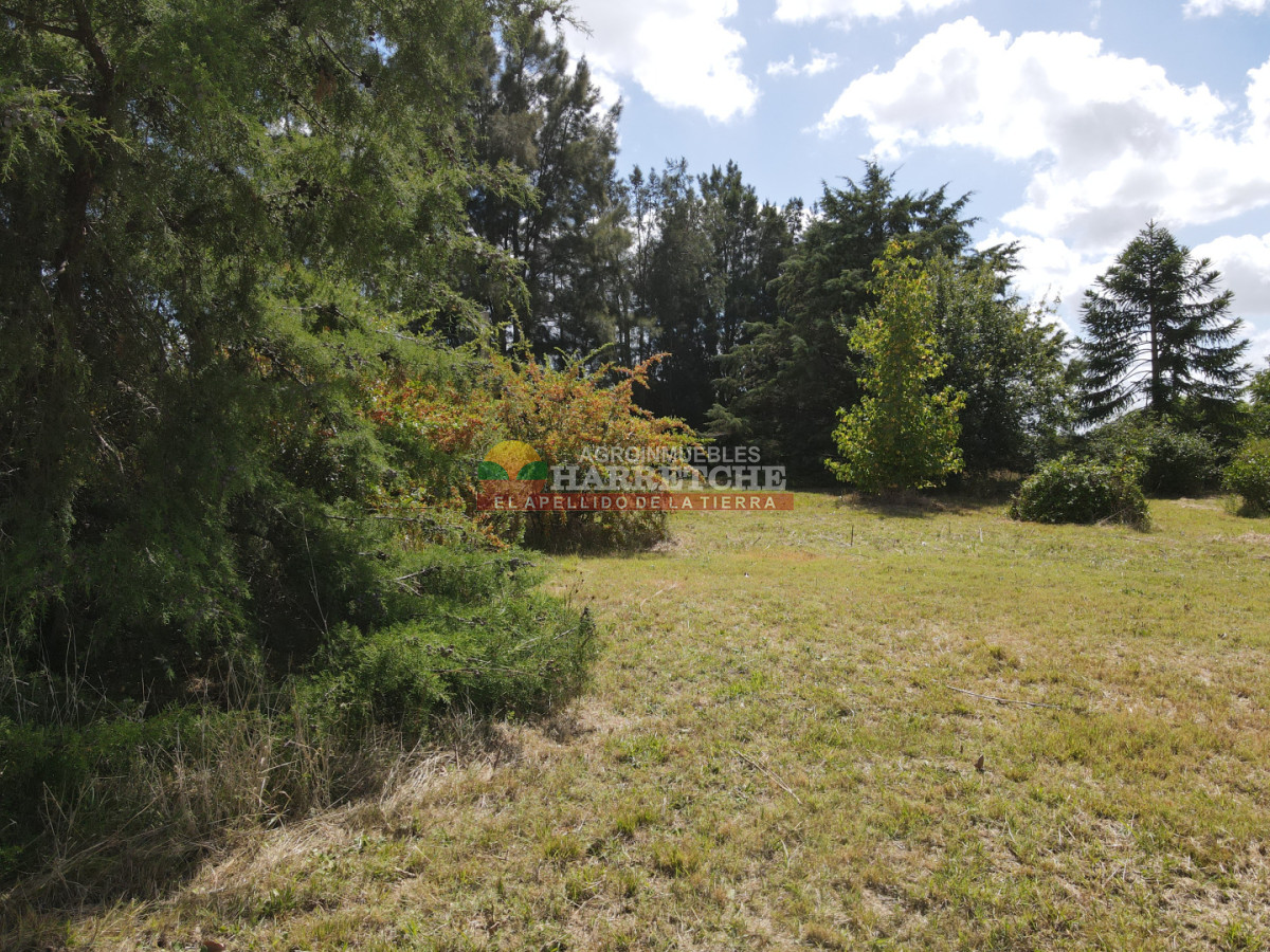 Chacra ID.511 - Chacra en Los Cerrillos, Villa Nueva, 4 has, 2 casas, hermoso entorno! AH-7244