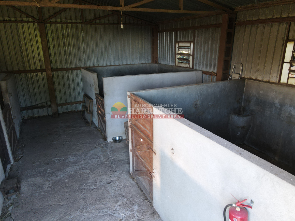 Chacra ID.446 - Chacra en Melilla, 3 has, hermoso casco, caballerizas, galpones, piscina