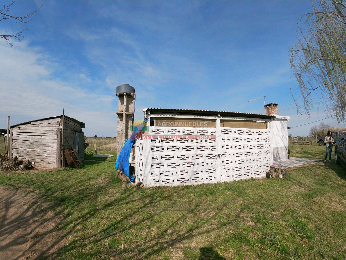 Chacra ID.332 - Chacra en venta Los Cerrillos, 1 has con casa de dos dormitorios