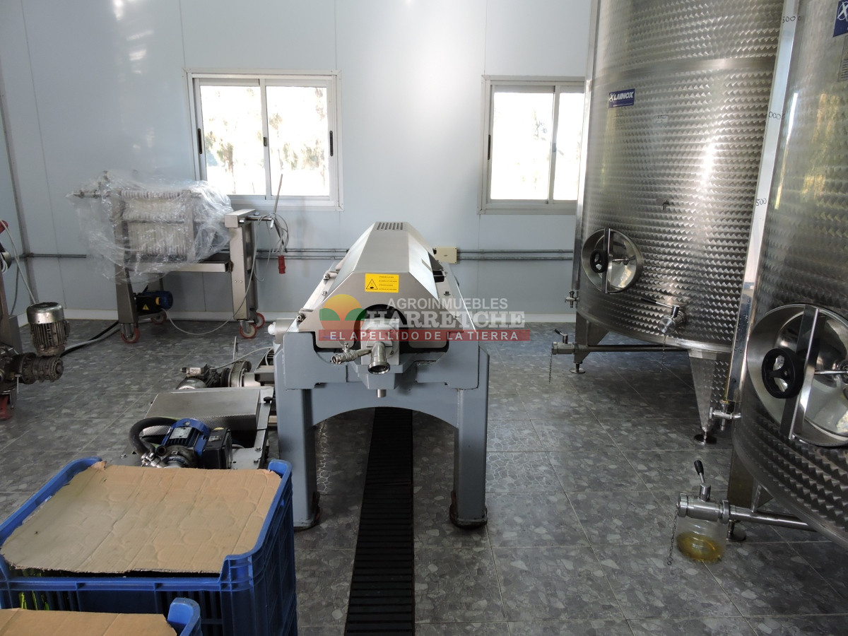 Chacra ID.474 - Campo de Olivos en venta, con fábrica de aceite y casa de ensueño