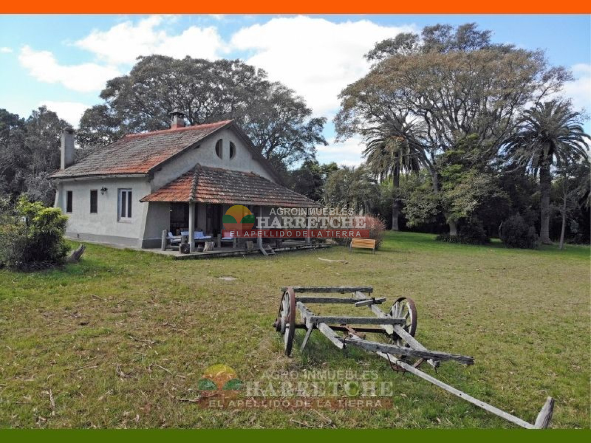 Chacra ID.144 - Campo, 69 has, Las Brujas con costa al Rio Santa Lucia, Casco, varias construcciones