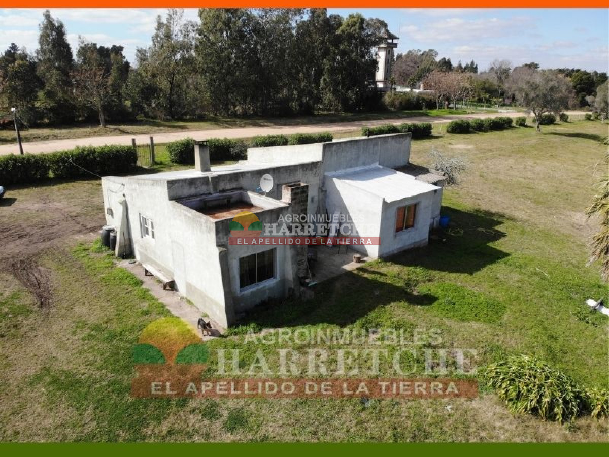 Chacra ID.144 - Campo, 69 has, Las Brujas con costa al Rio Santa Lucia, Casco, varias construcciones